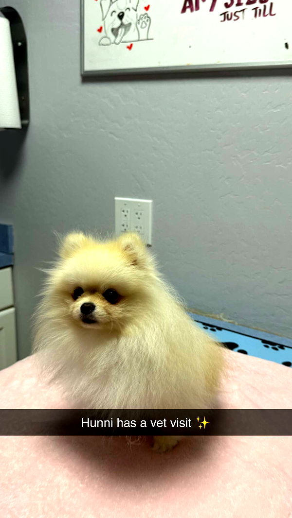 graceboor image ~ Altpins