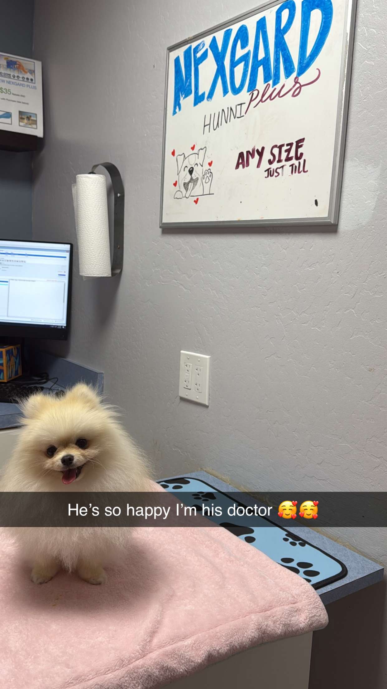 graceboor snapchat image archive image