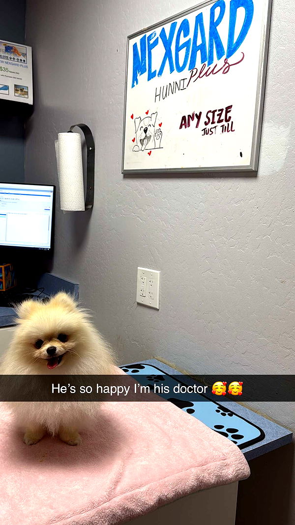 graceboor image ~ Altpins