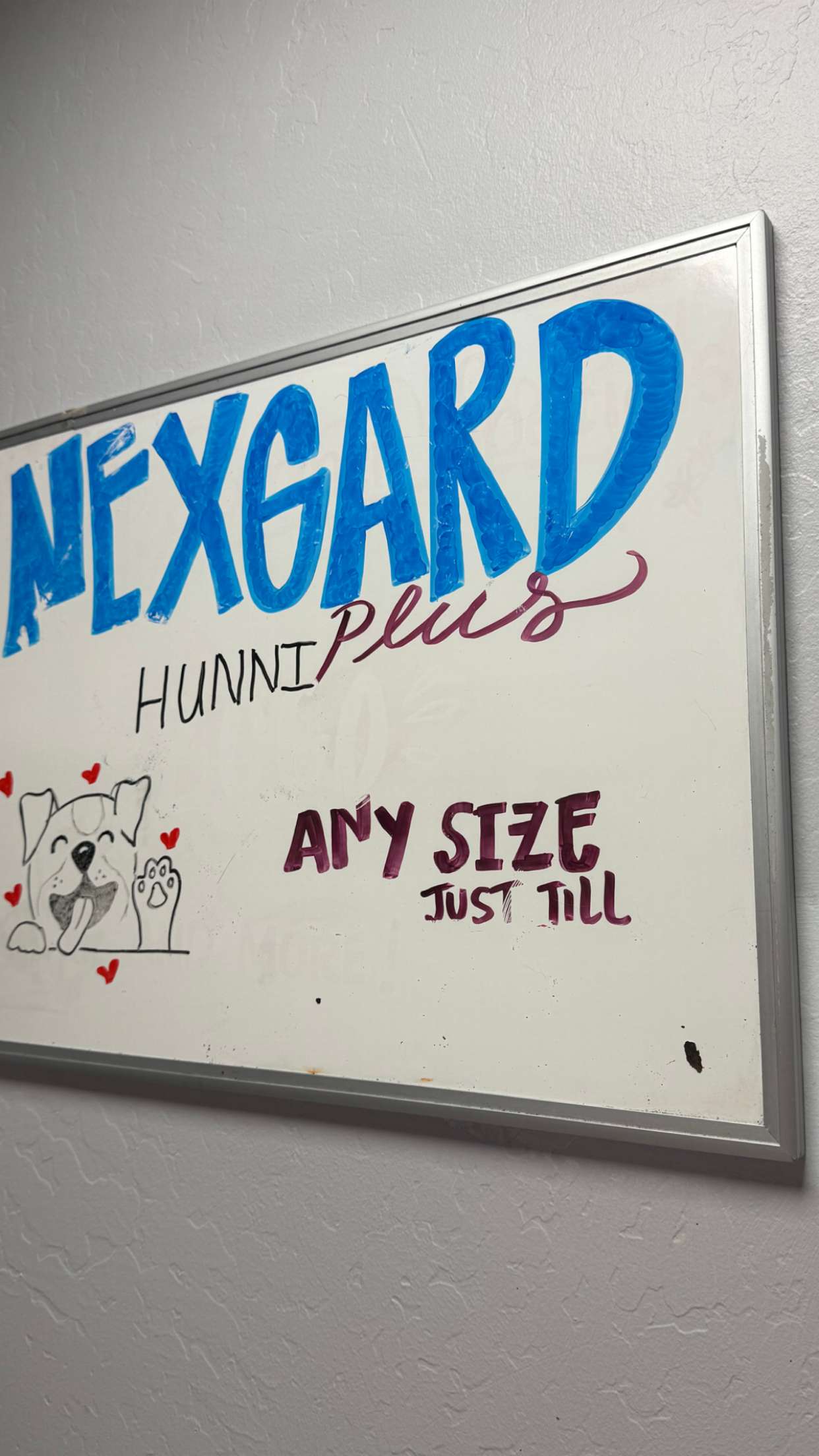 graceboor snapchat image archive image