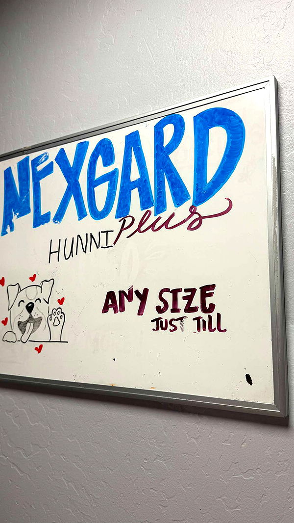 graceboor image ~ Altpins