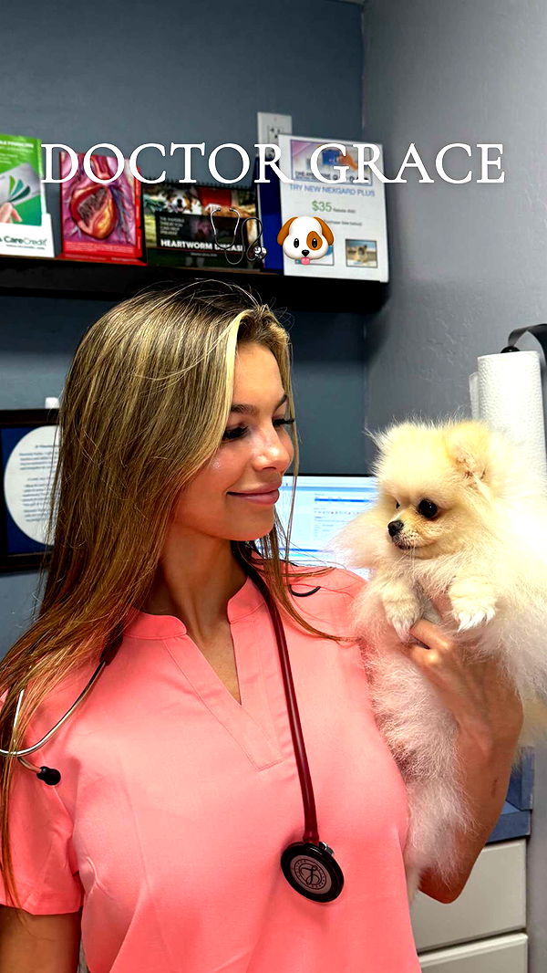 graceboor image ~ Altpins