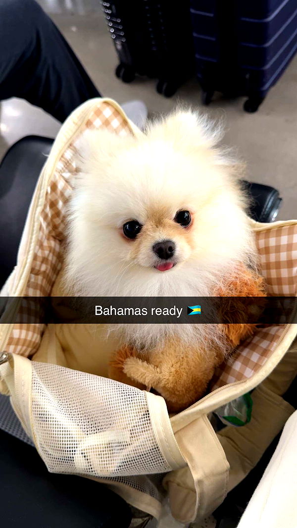 graceboor image ~ Altpins