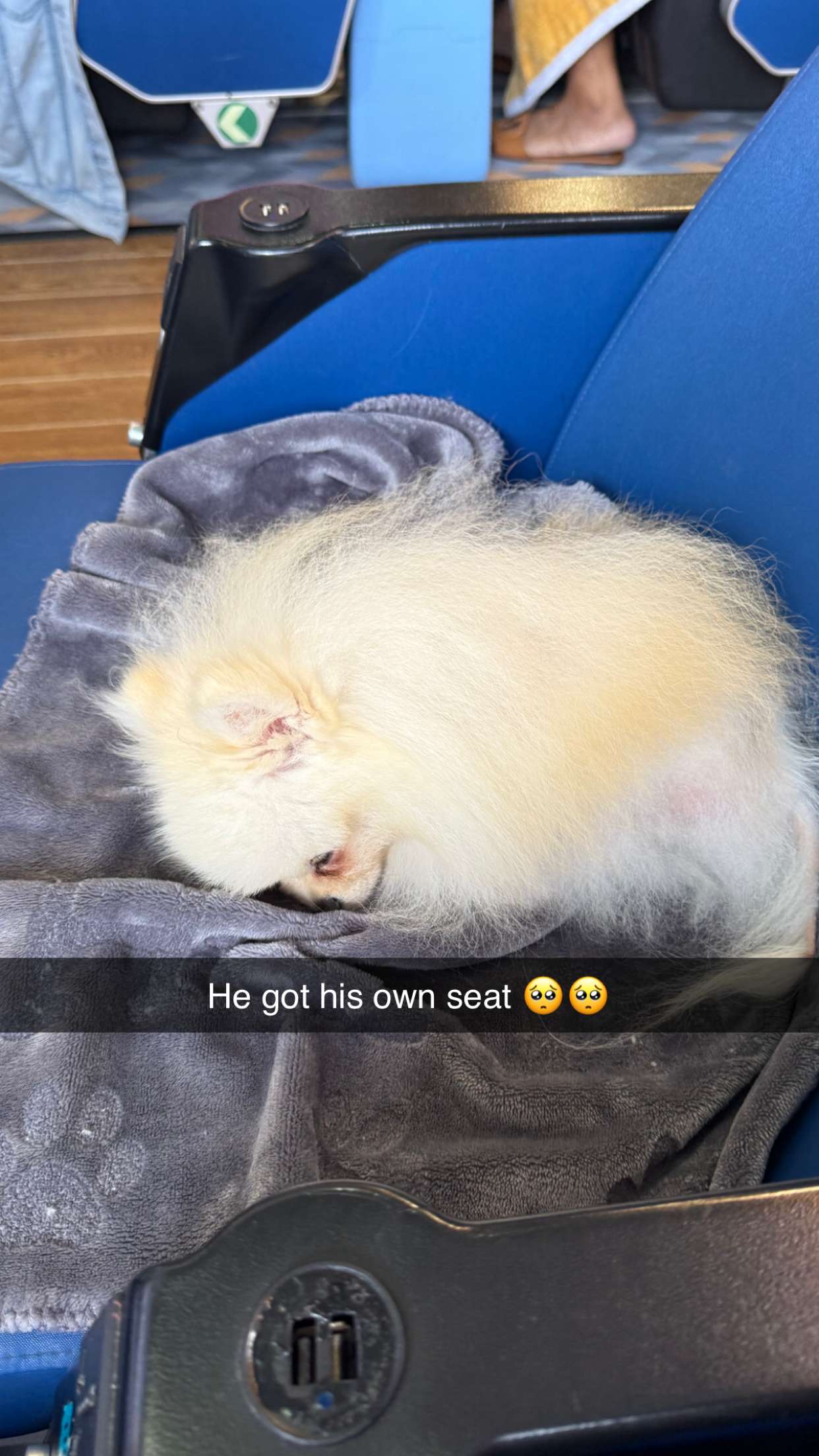 graceboor snapchat image archive image