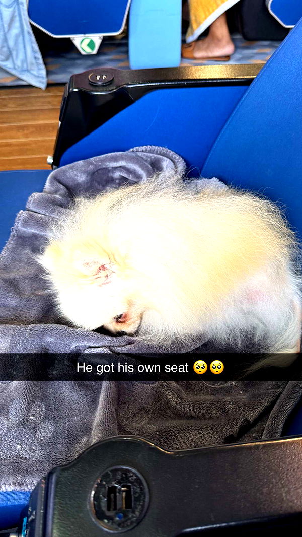 graceboor image ~ Altpins