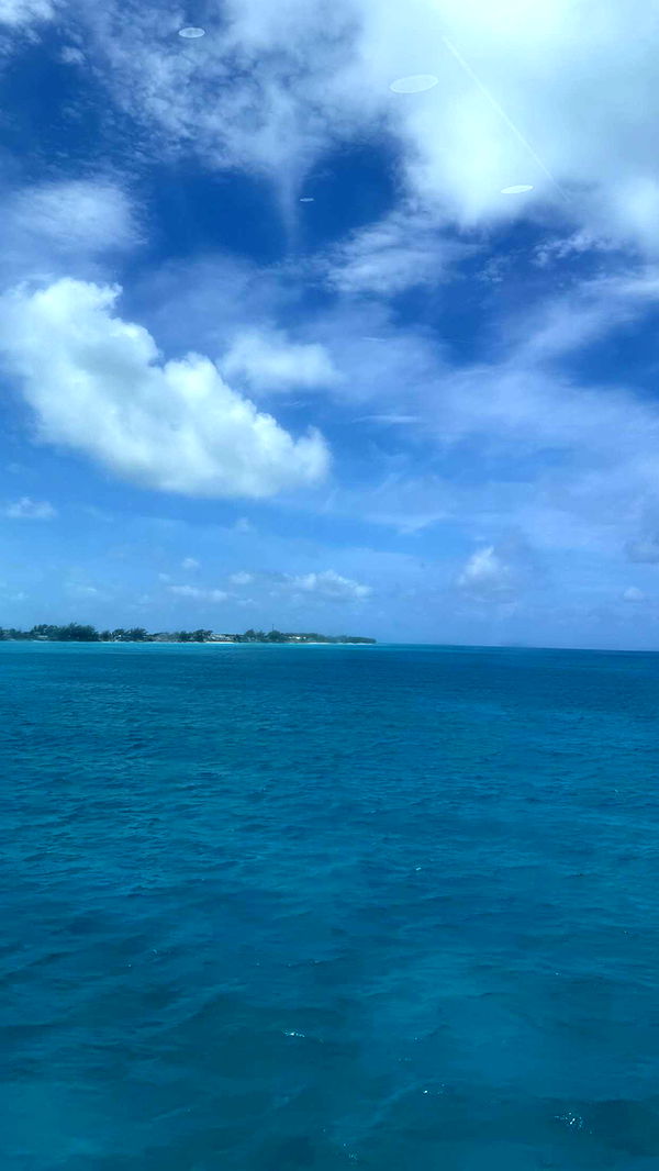 graceboor image ~ Altpins