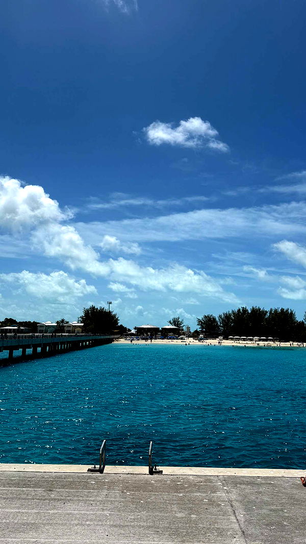 graceboor image ~ Altpins