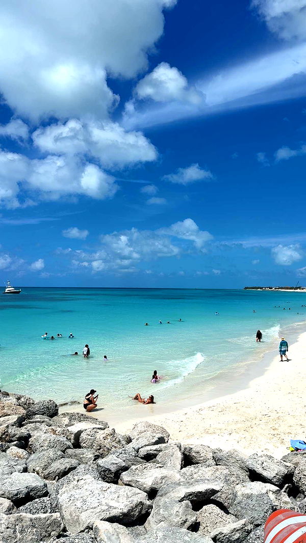 graceboor image ~ Altpins