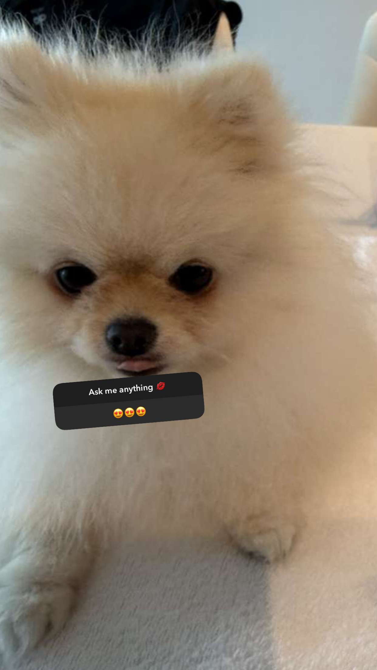 graceboor snapchat image archive image