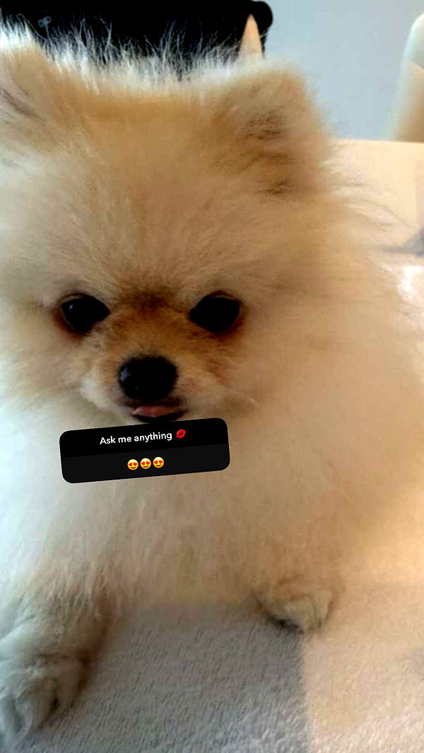 graceboor image ~ Altpins