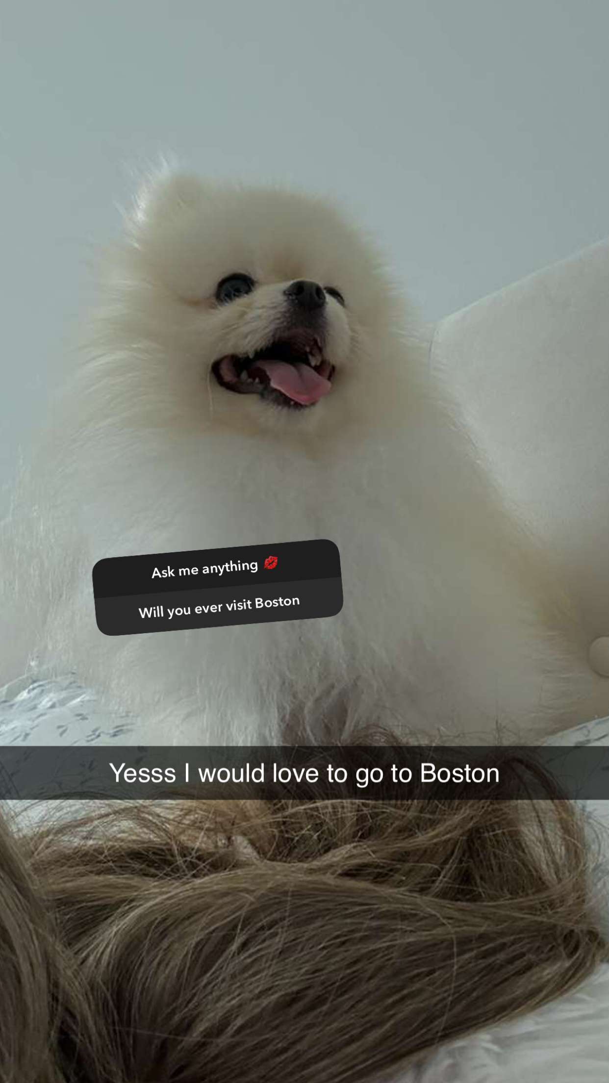 graceboor snapchat image archive image