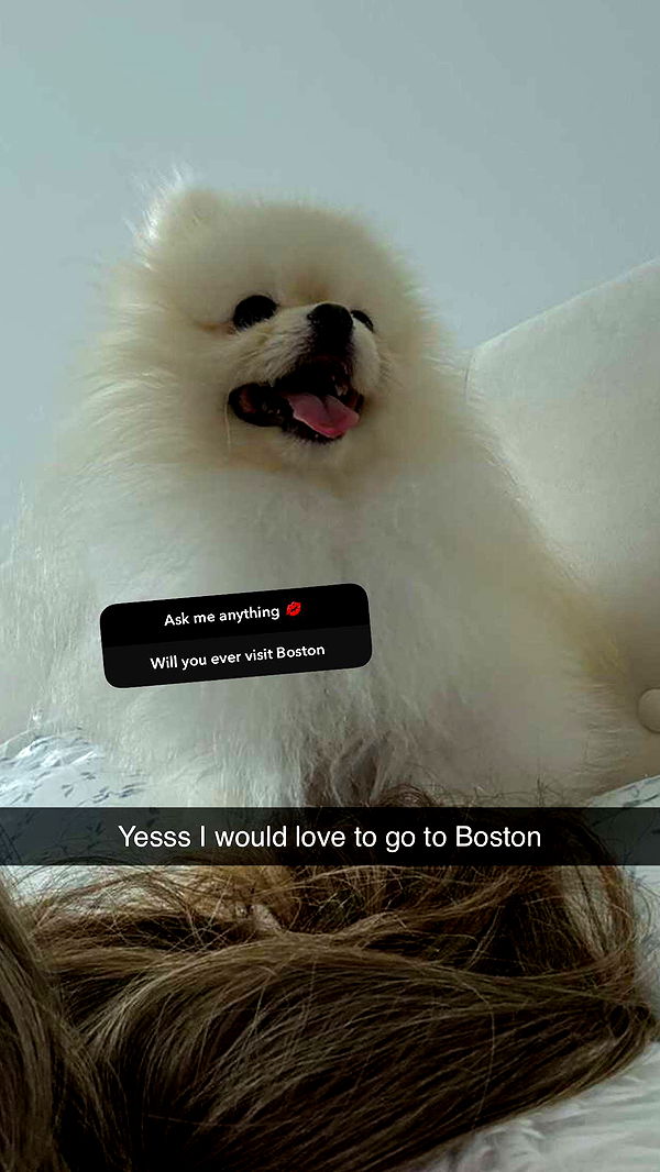 graceboor image ~ Altpins