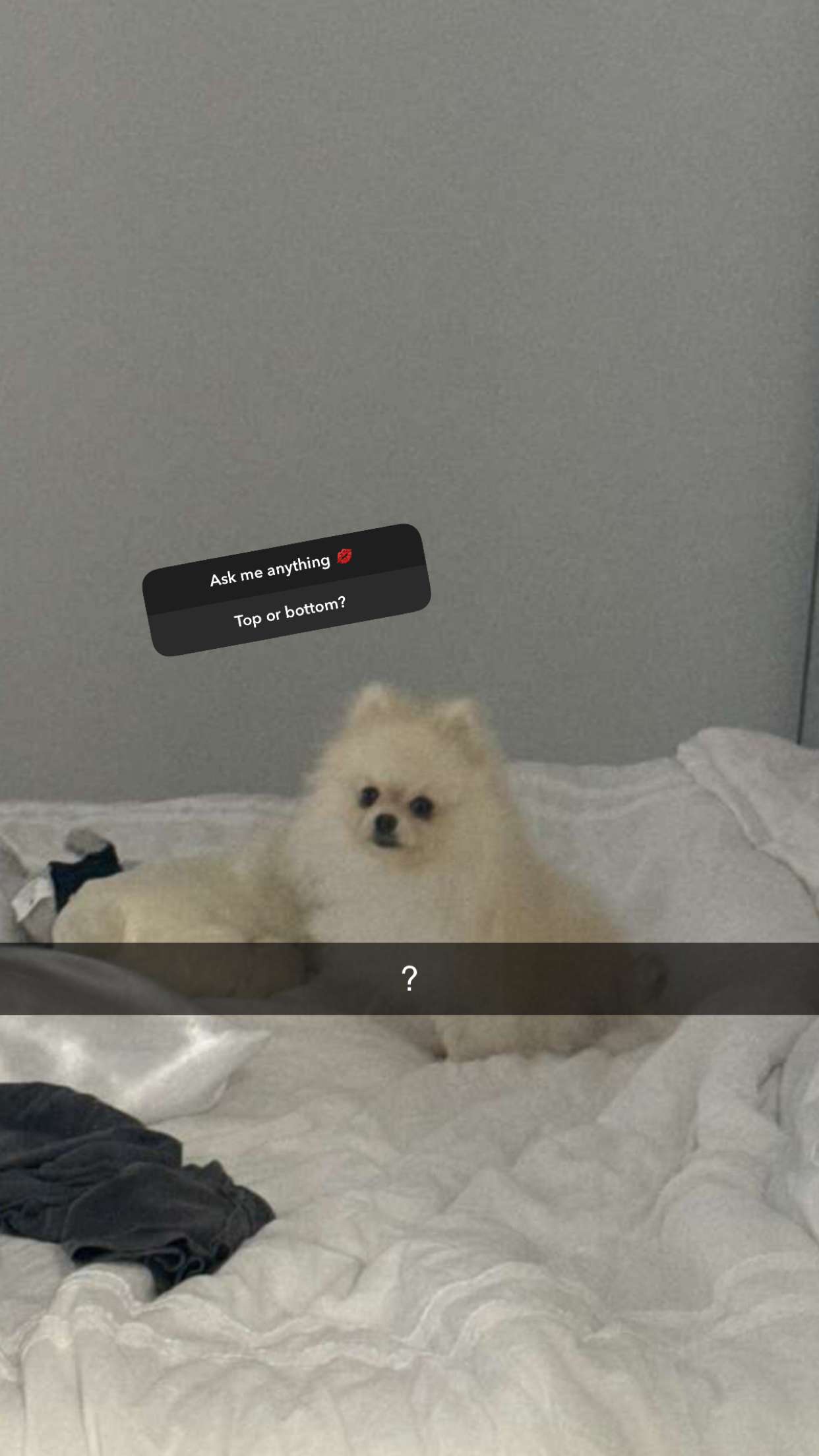 graceboor snapchat image archive image