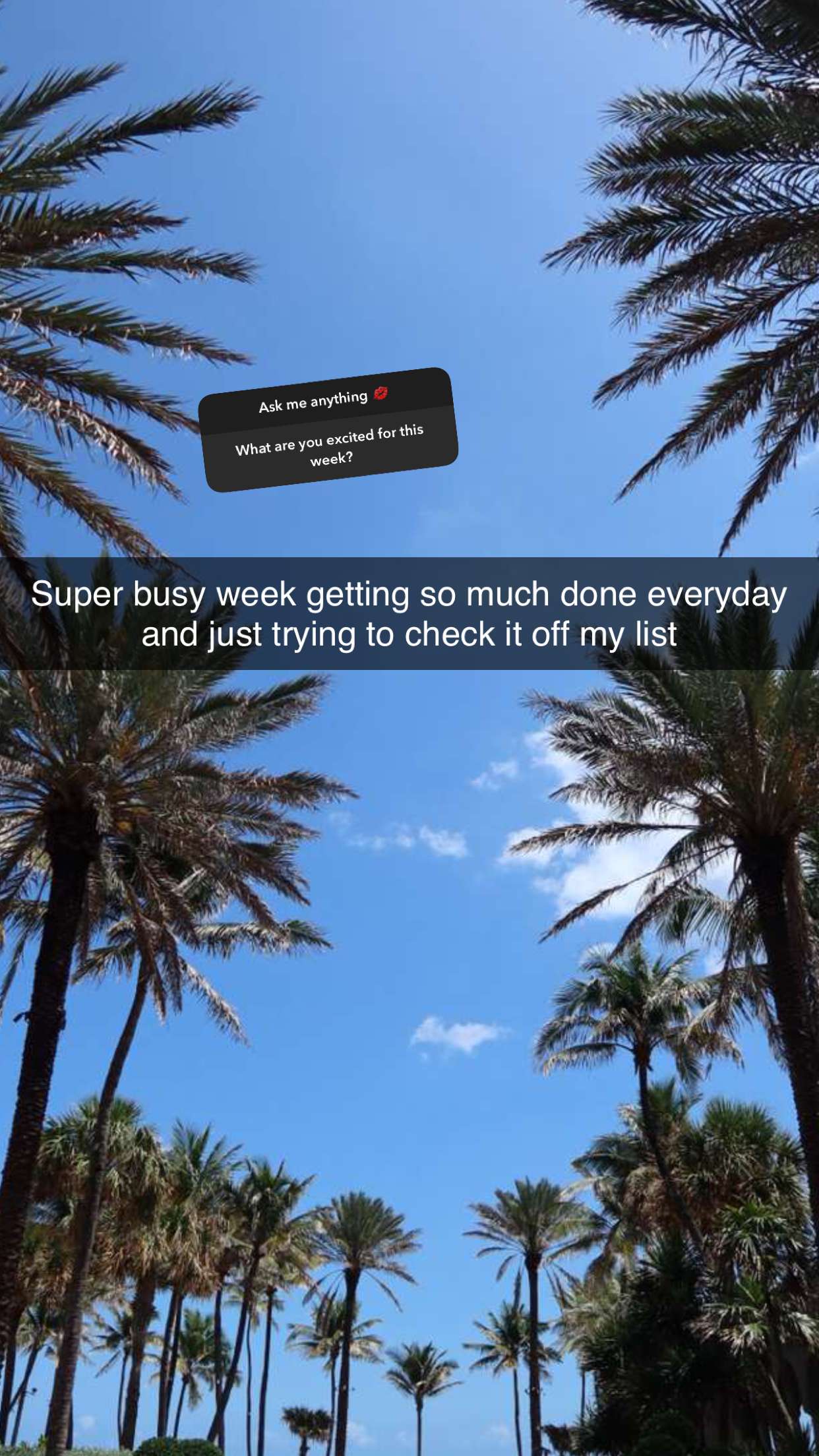 graceboor snapchat image archive image