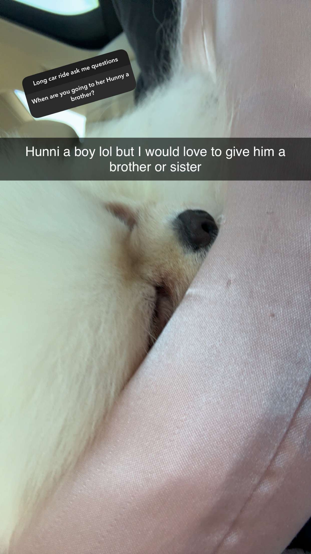 graceboor snapchat image archive image