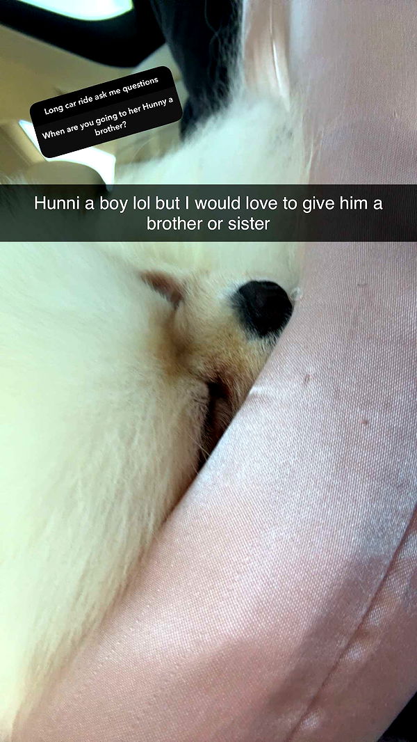 graceboor image ~ Altpins