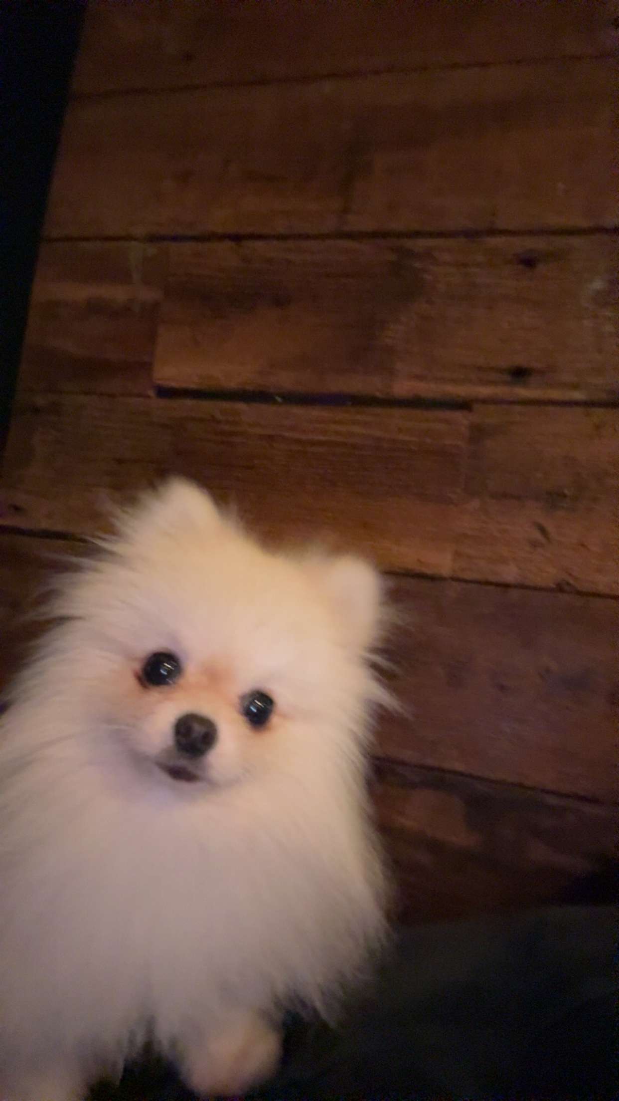 graceboor snapchat image archive image