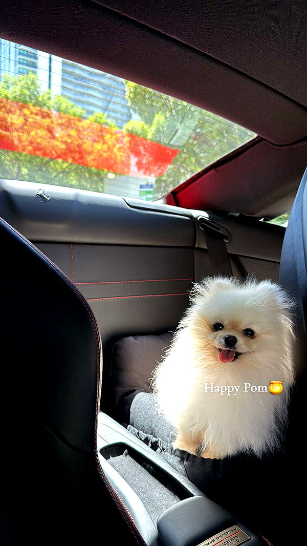 graceboor image ~ Altpins