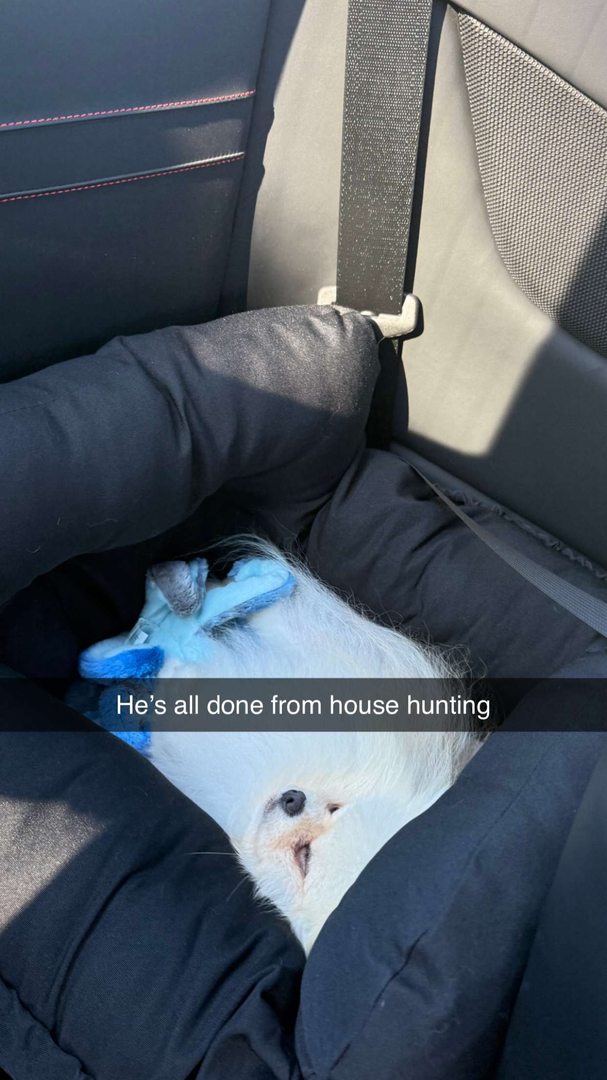 graceboor snapchat image archive image