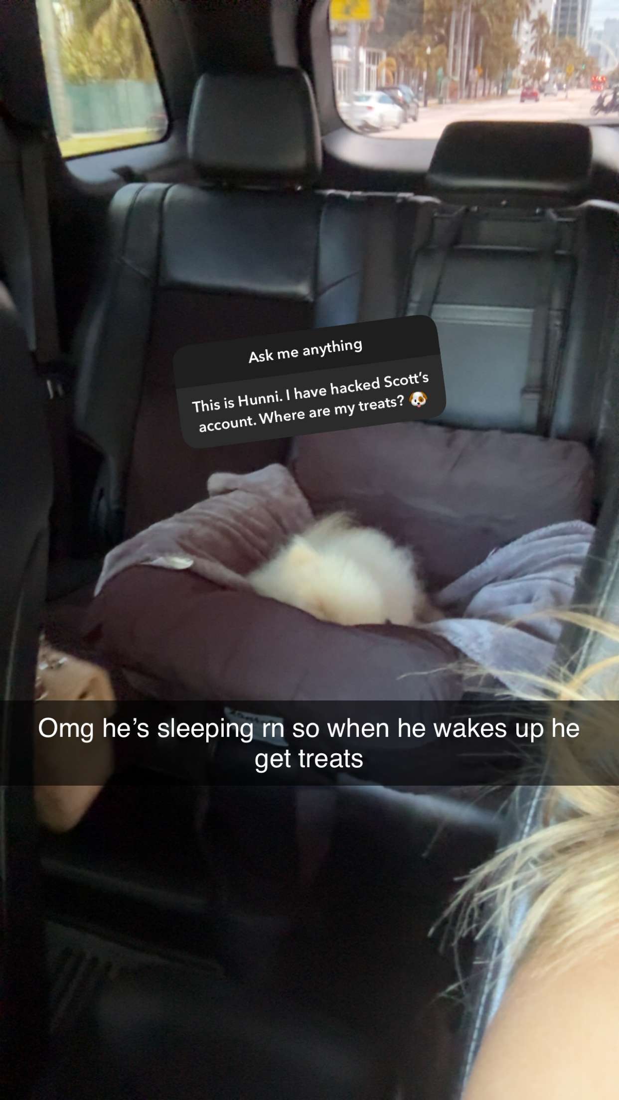 graceboor snapchat image archive image