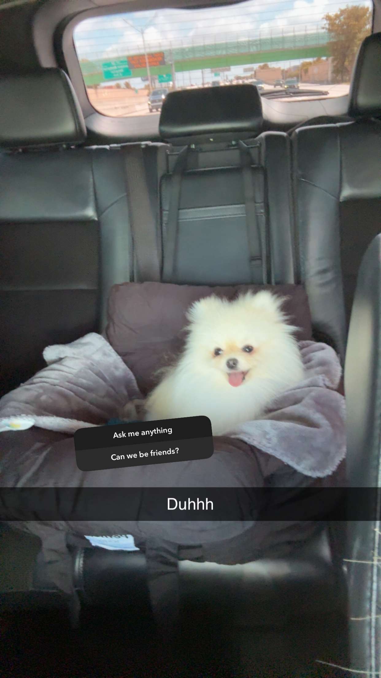 graceboor snapchat image archive image