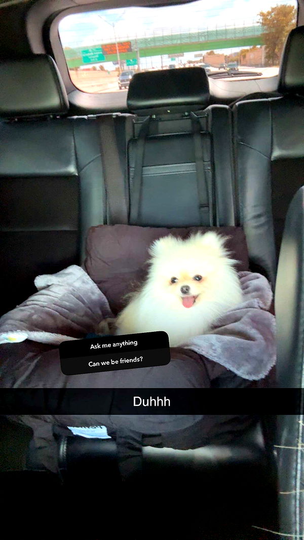 graceboor image ~ Altpins