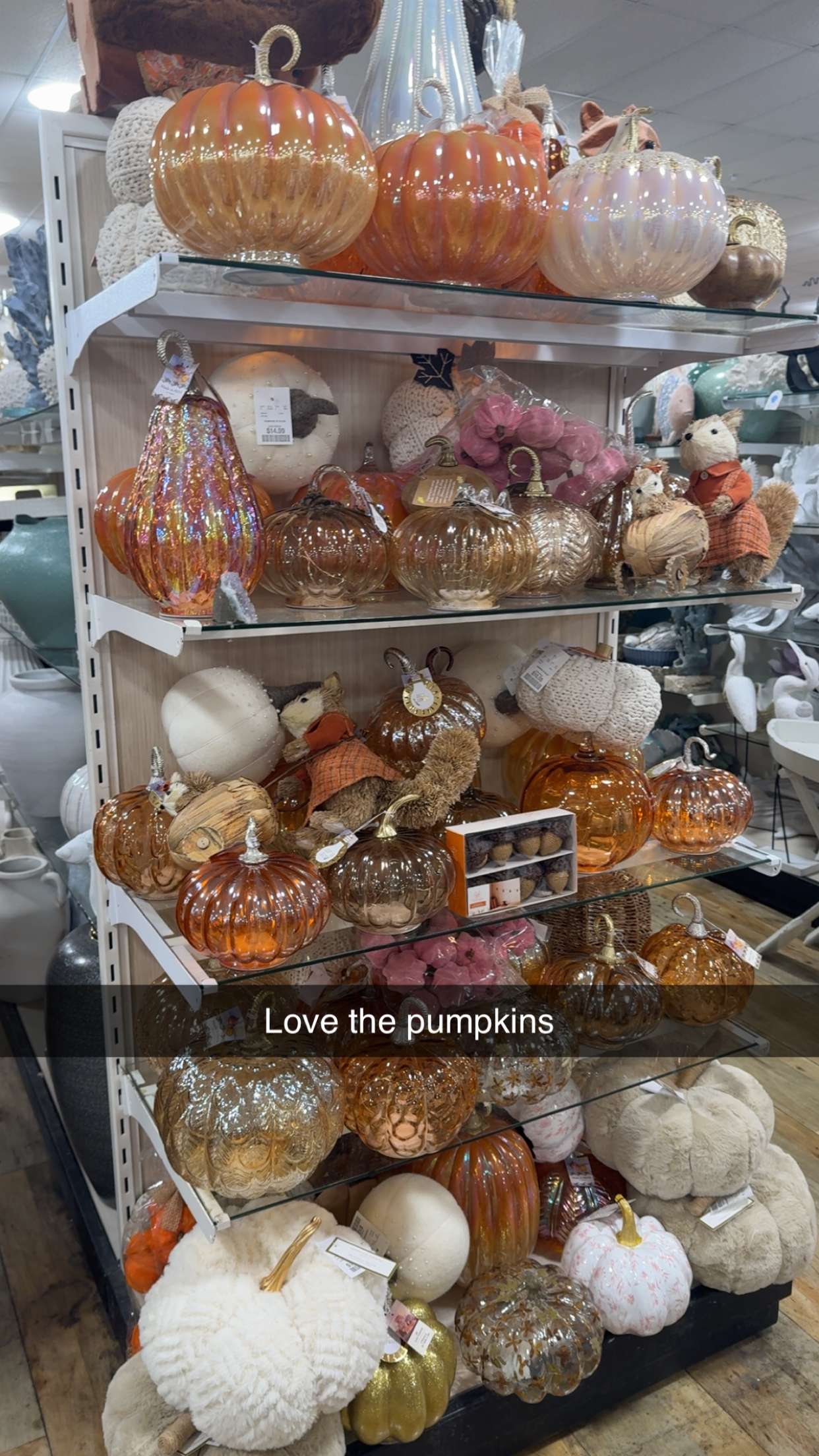 graceboor snapchat image archive image