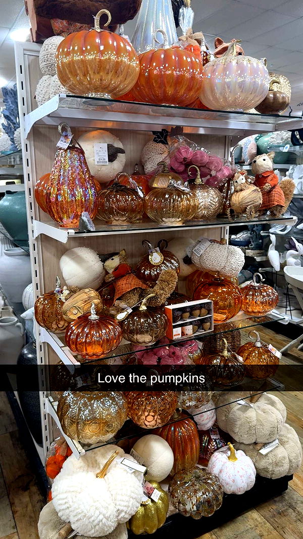 graceboor image ~ Altpins