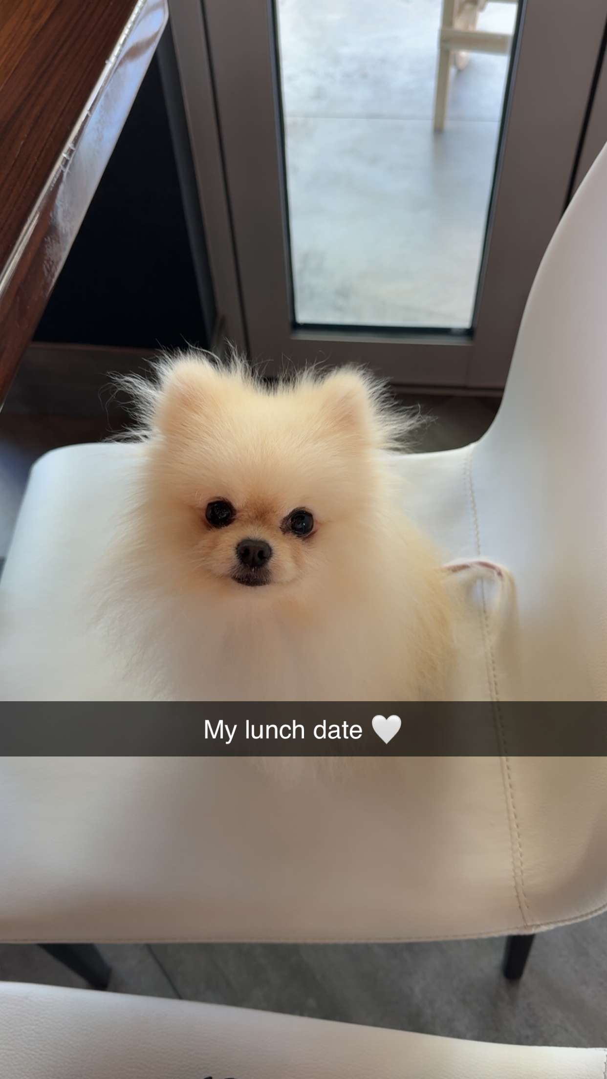 graceboor snapchat image archive image