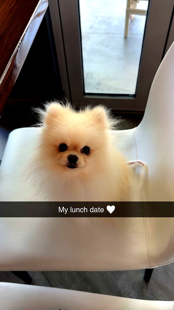 graceboor image ~ Altpins