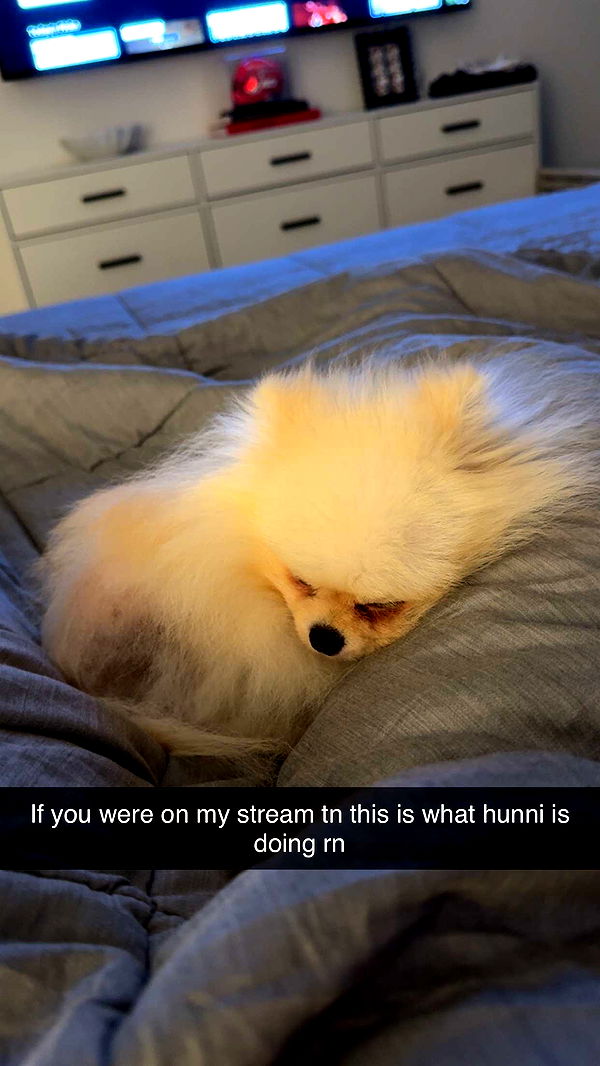 graceboor image ~ Altpins