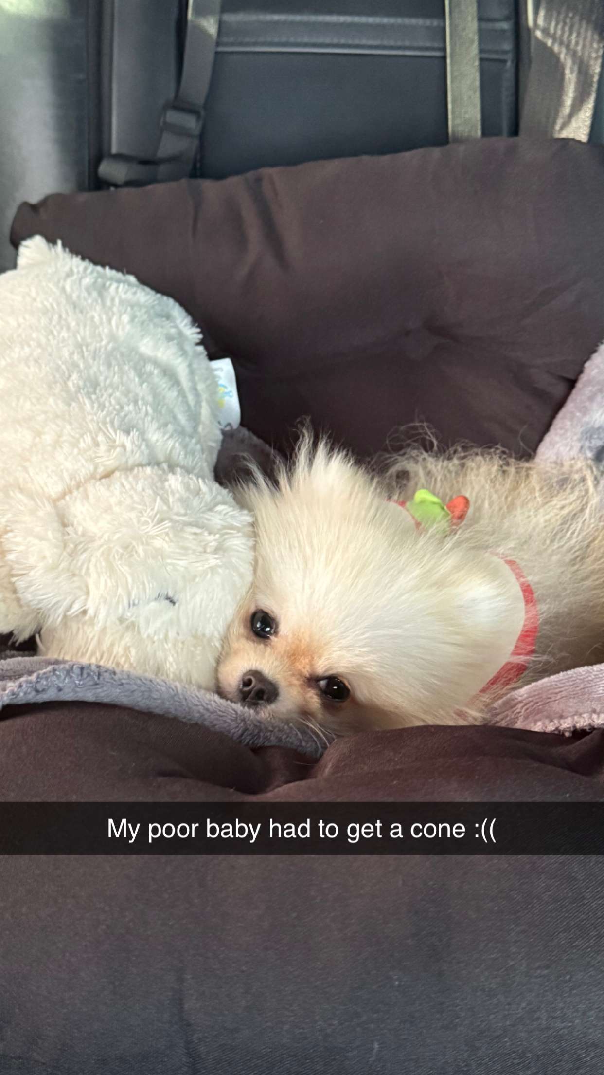 graceboor snapchat image archive image