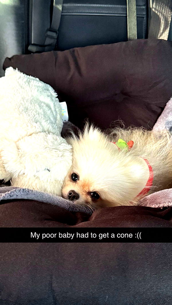 graceboor image ~ Altpins