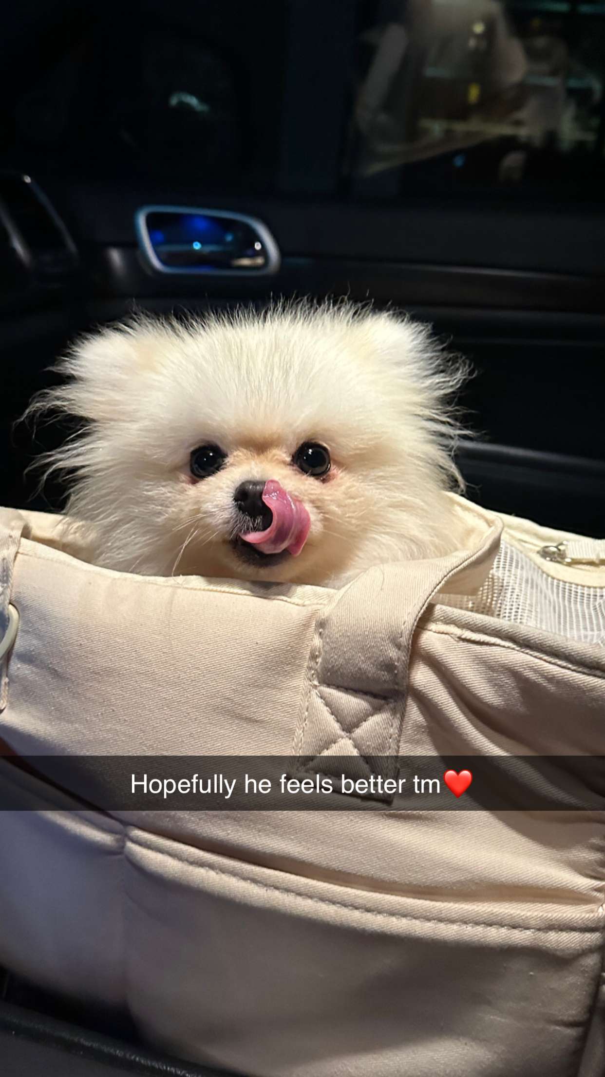 graceboor snapchat image archive image