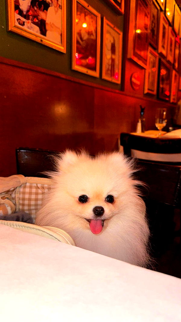 graceboor image ~ Altpins