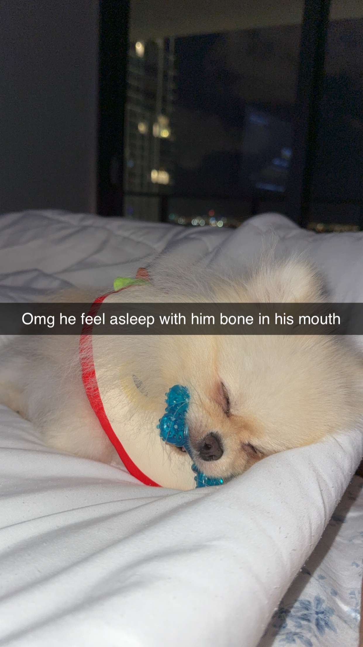 graceboor snapchat image archive image