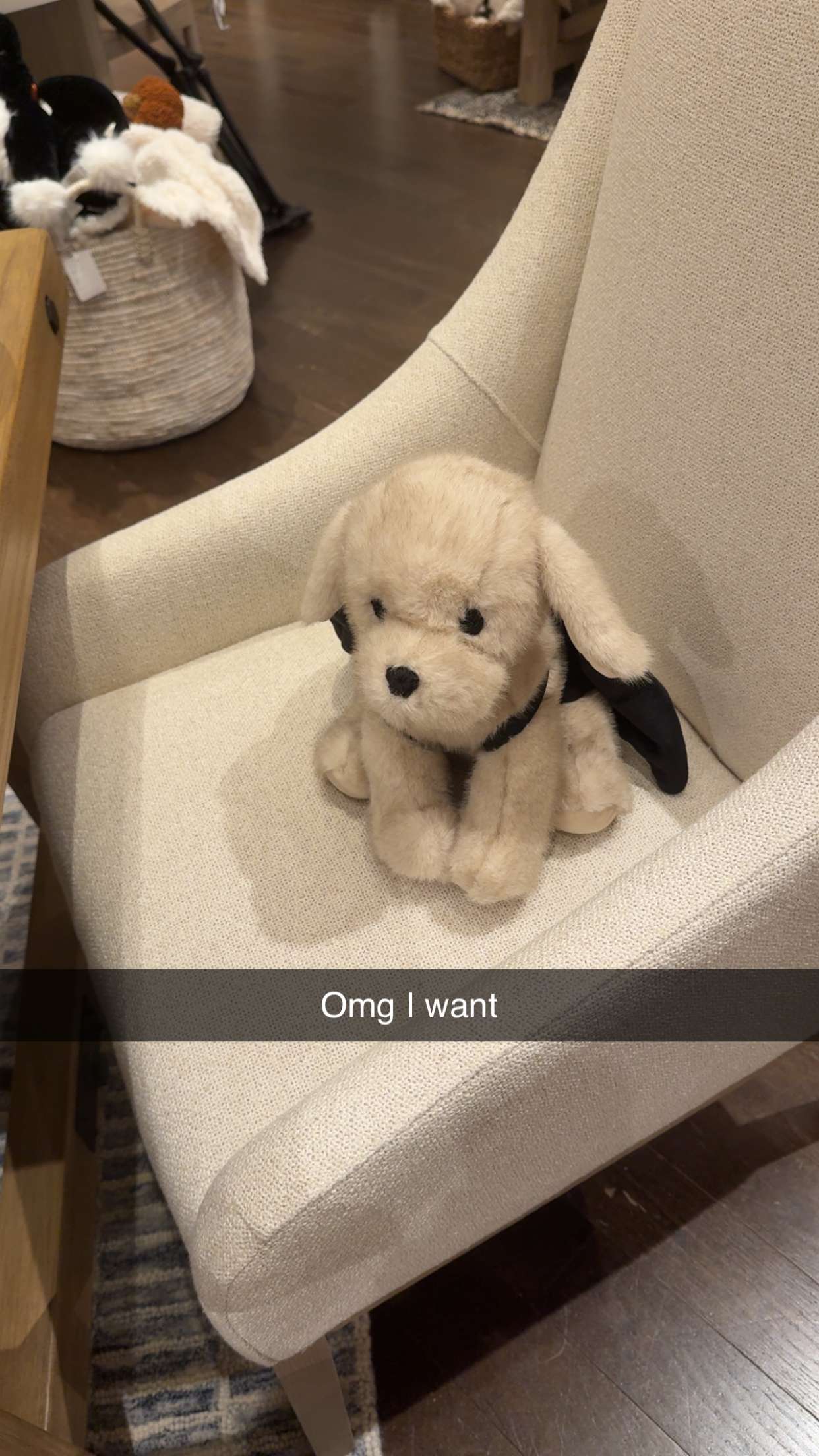 graceboor snapchat image archive image