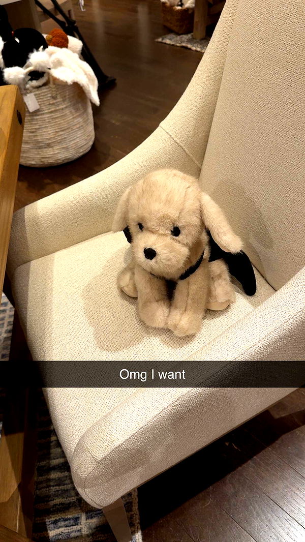 graceboor image ~ Altpins