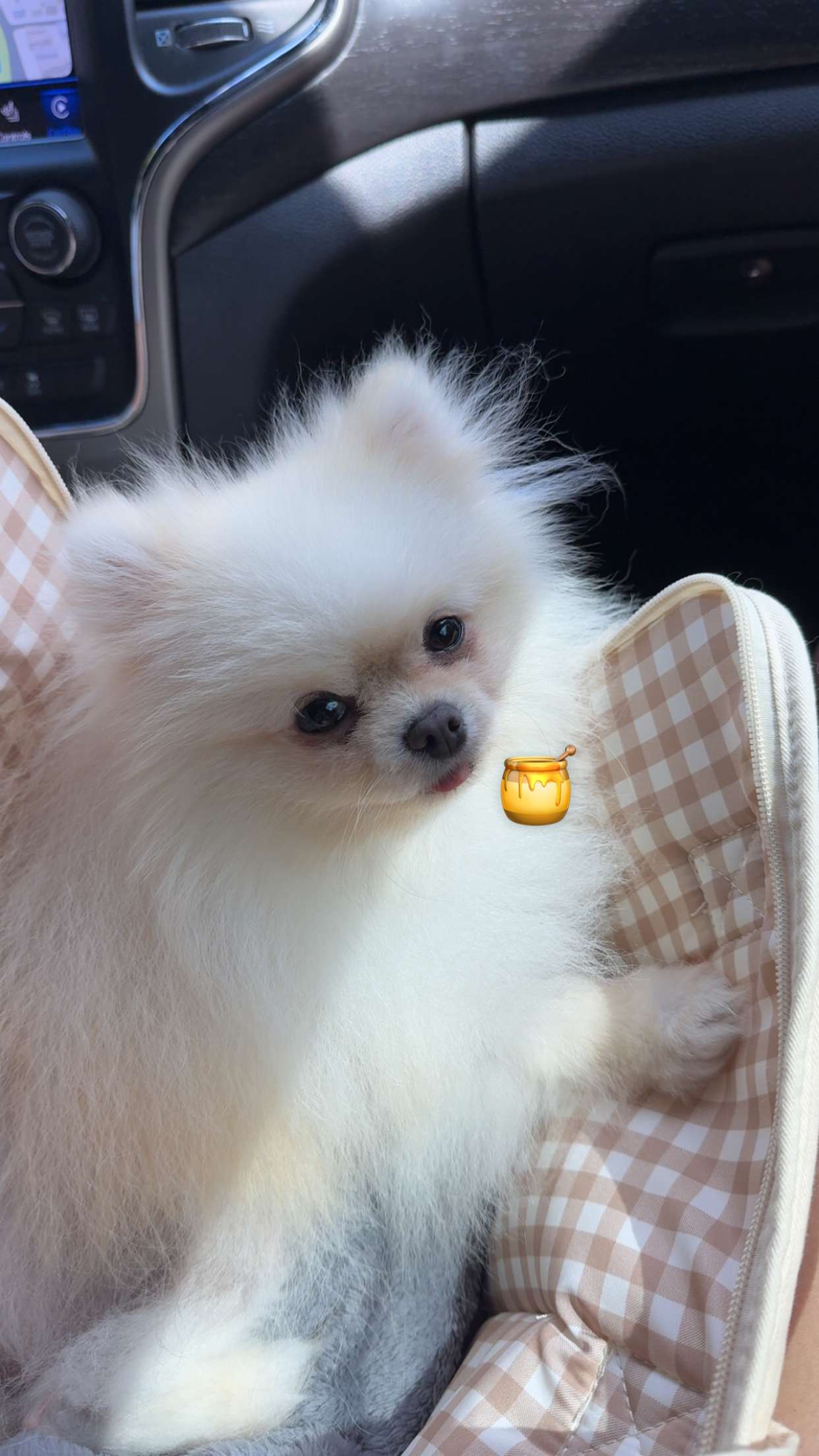 graceboor snapchat image archive image