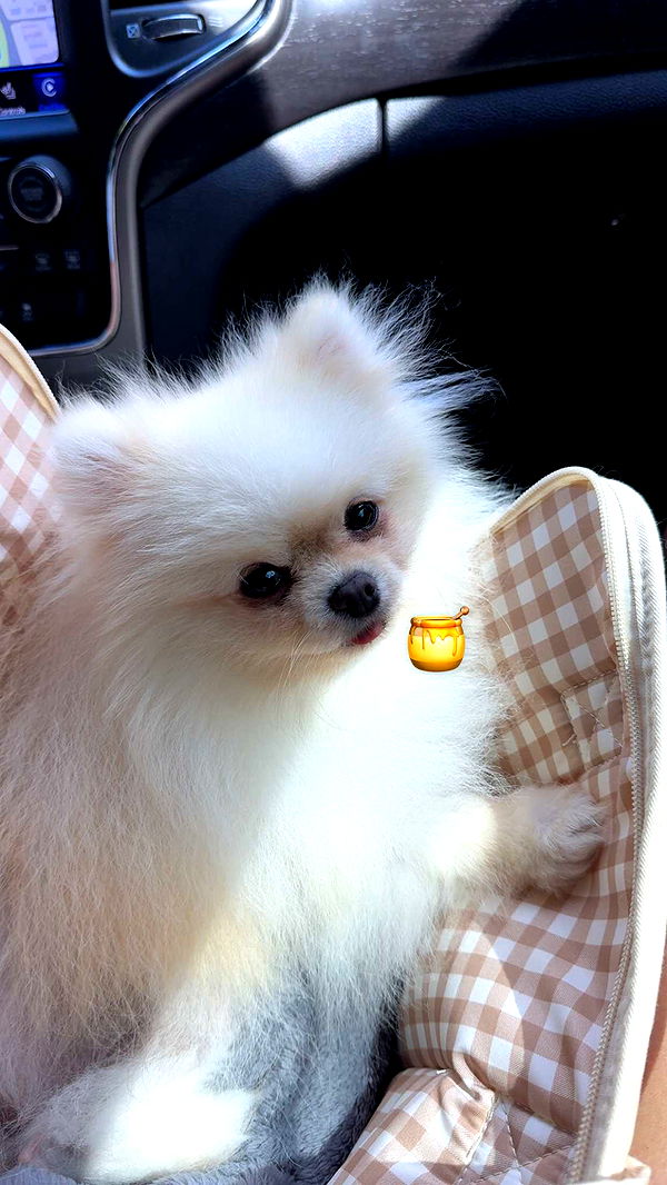 graceboor image ~ Altpins