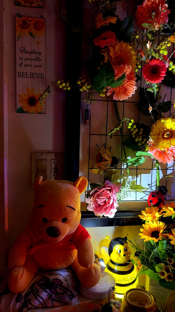 graceboor image ~ Altpins