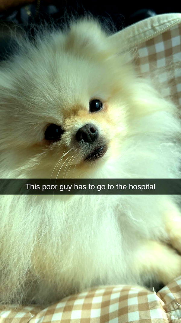 graceboor image ~ Altpins