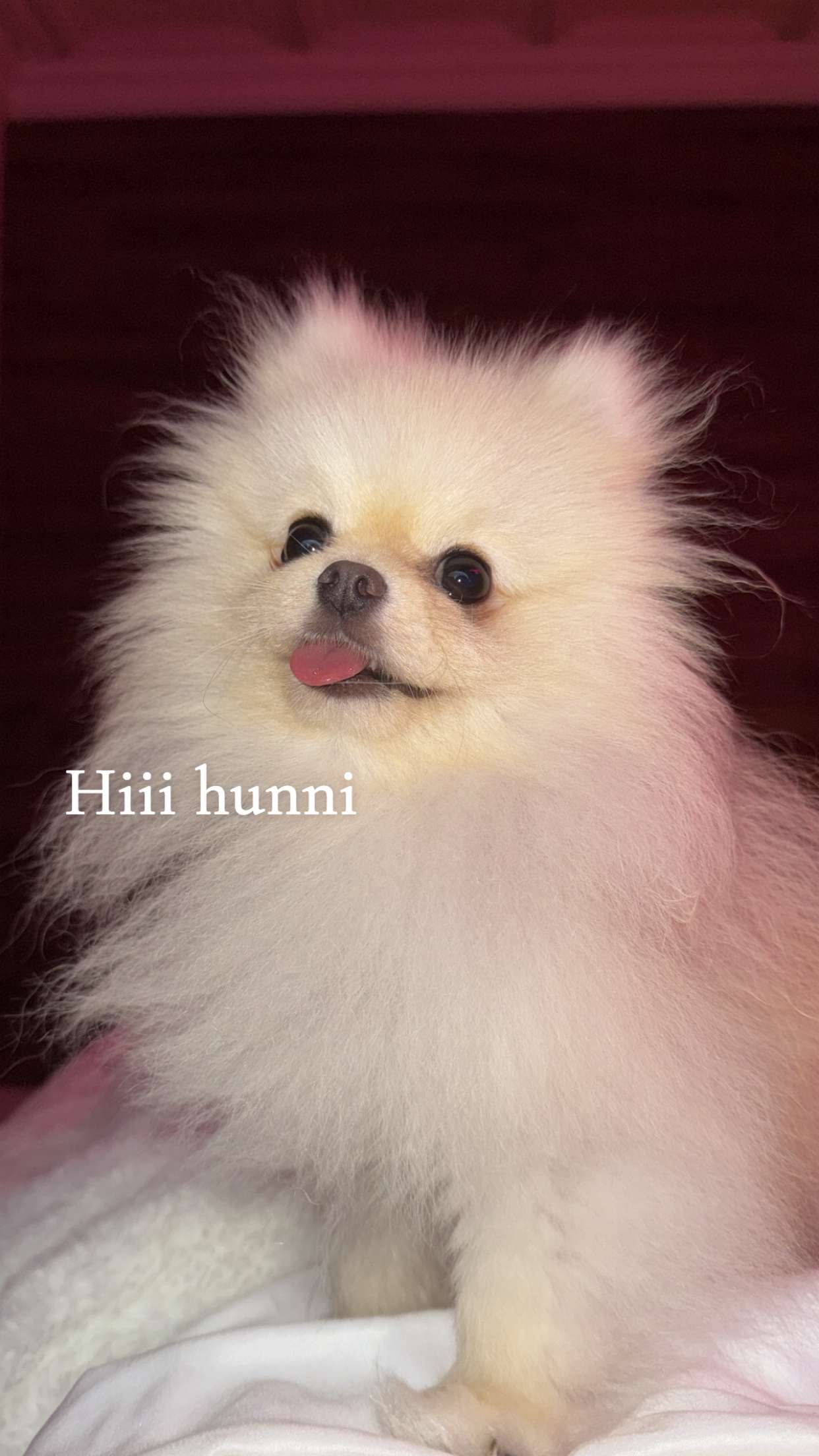 graceboor snapchat image archive image