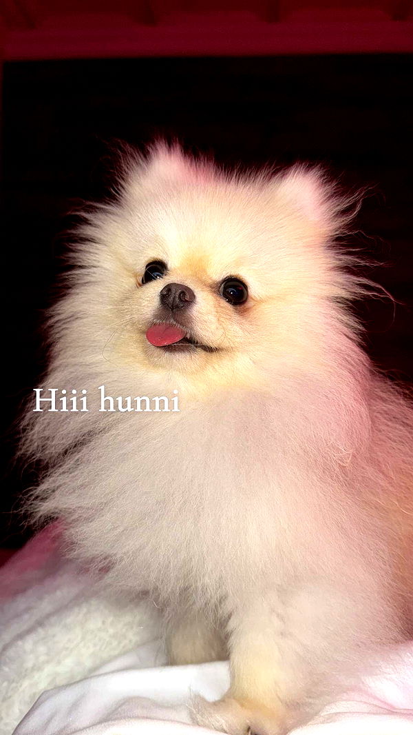 graceboor image ~ Altpins