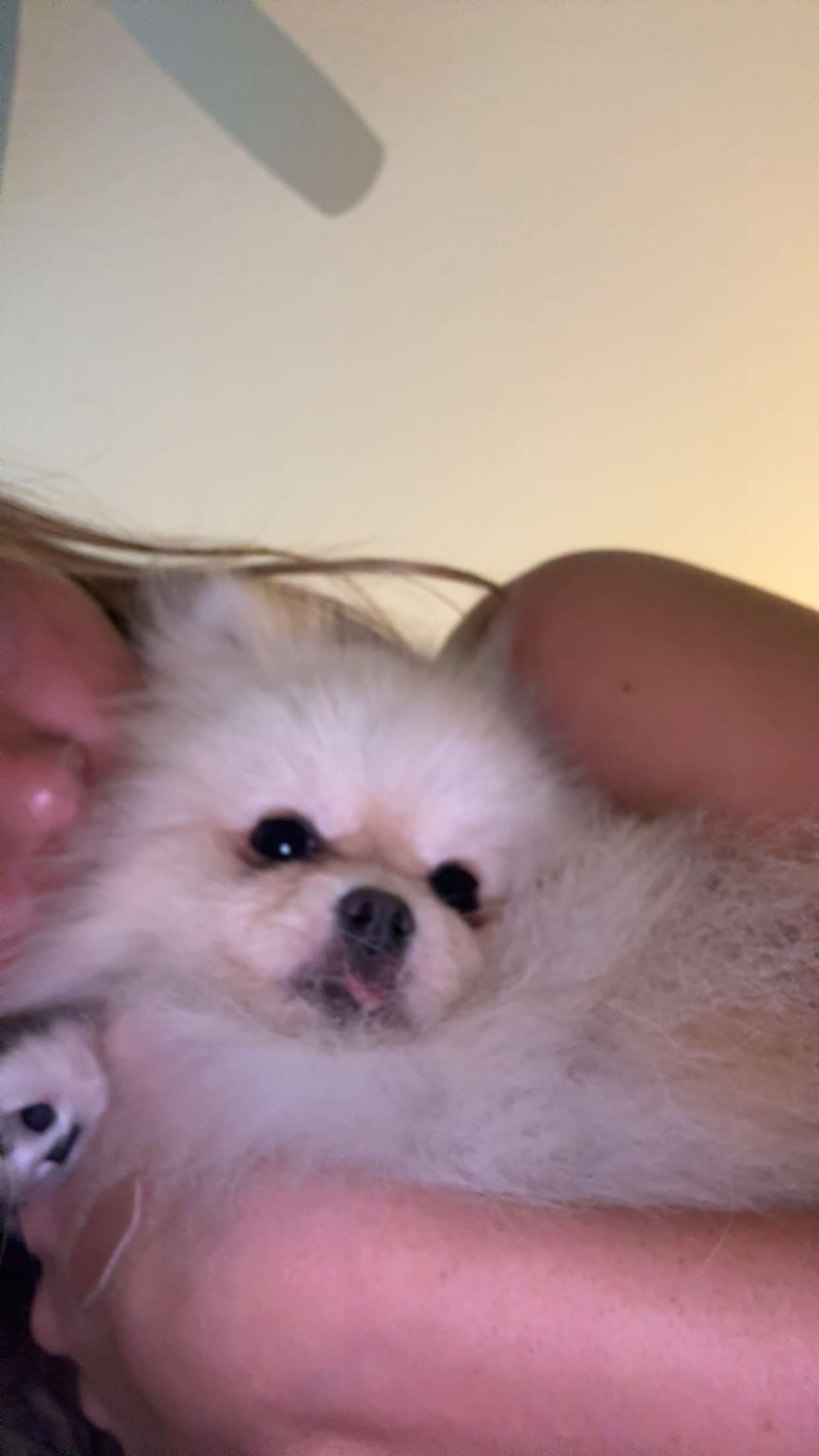 graceboor snapchat image archive image