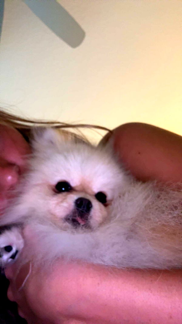 graceboor image ~ Altpins