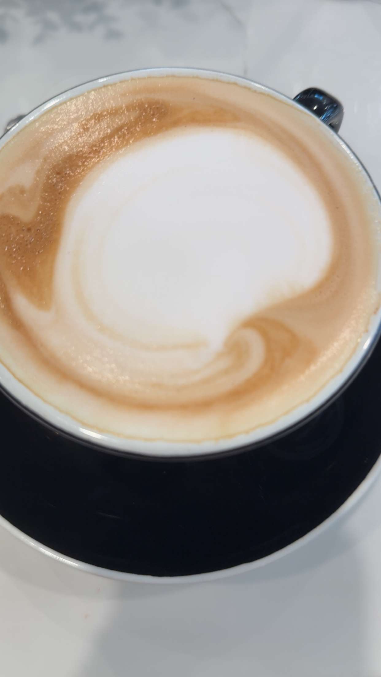 graceboor snapchat image archive image