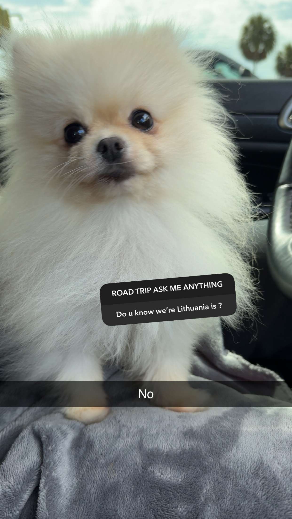 graceboor snapchat image archive image