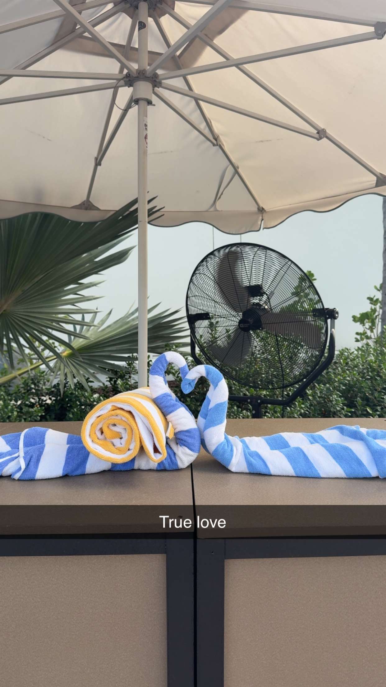 graceboor snapchat image archive image