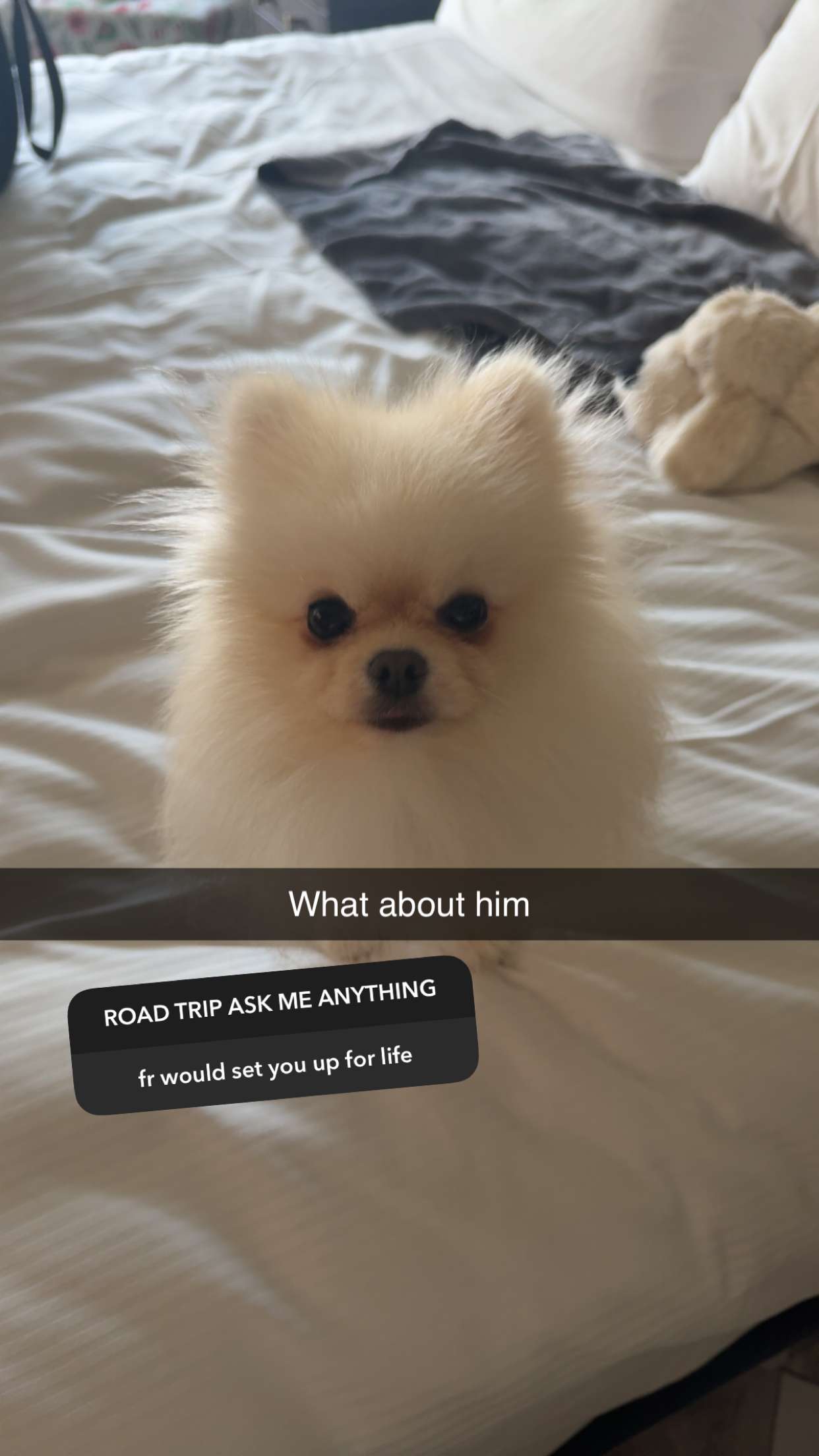 graceboor snapchat image archive image